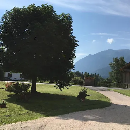 Apartment Sole Borca di Cadore